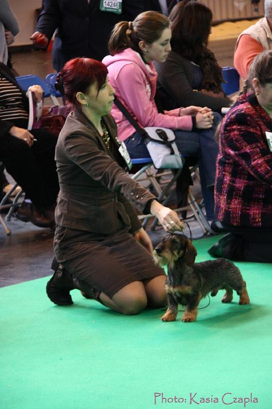 Crufts2011_2 631.jpg